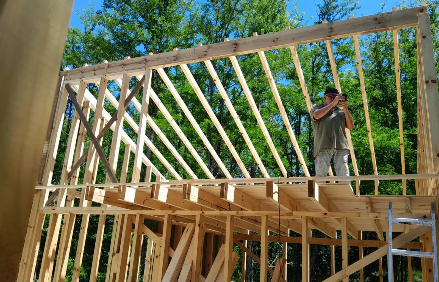 Montaje estructural de vivienda Wood Frame